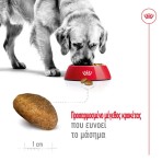 ROYAL CANIN HEALTH NUTRITION ADULT DOG MAXI 10KG