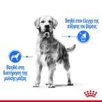 ROYAL CANIN LIGHT WEIGHT CARE MEDIUM ADULT DOG 3kg