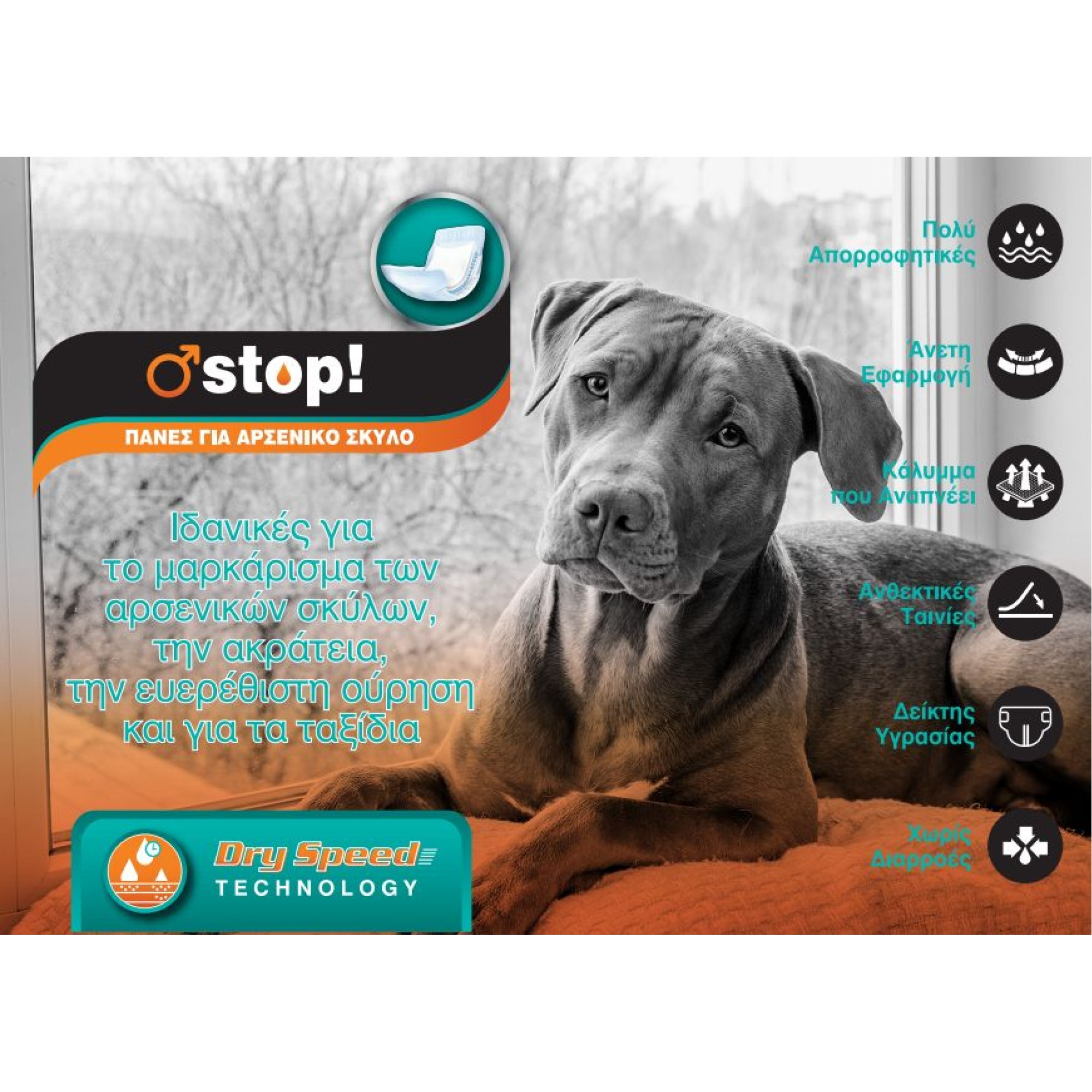 PET CAMELOT ΠΑΝΕΣ ΦΑΣΕΣ ΓΙΑ ΑΡΣΕΝΙΚΟΥΣ ΣΚΥΛΟΥΣ SMALL 12pcs