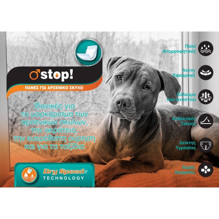 PET CAMELOT ΠΑΝΕΣ ΦΑΣΕΣ ΓΙΑ ΑΡΣΕΝΙΚΟΥΣ ΣΚΥΛΟΥΣ SMALL 12pcs