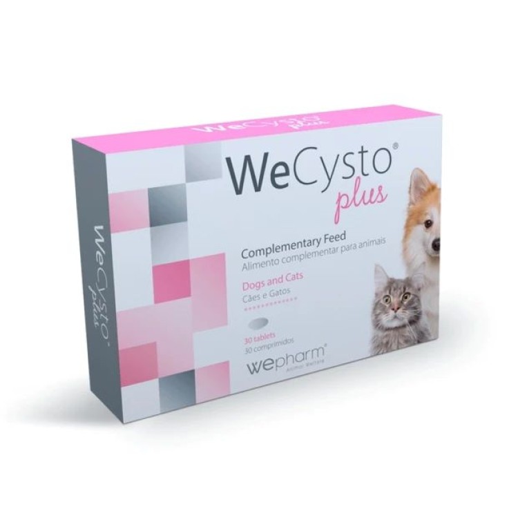 WEPHARM WECYSTO PLUS ΣΥΜΠΛΗΡΩΜΑ ΔΙΑΤΡΟΦΗΣ ΥΠΟΣΤΗΡΙΞΗΣ ΟΥΡΟΠΟΙΗΤΙΚΟΥ ΣΚΥΛΟΥ ΚΑΙ ΓΑΤΑΣ 30Tabs