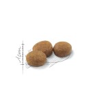 ROYAL CANIN REGULAR STERILISED ADULT CAT 4kg