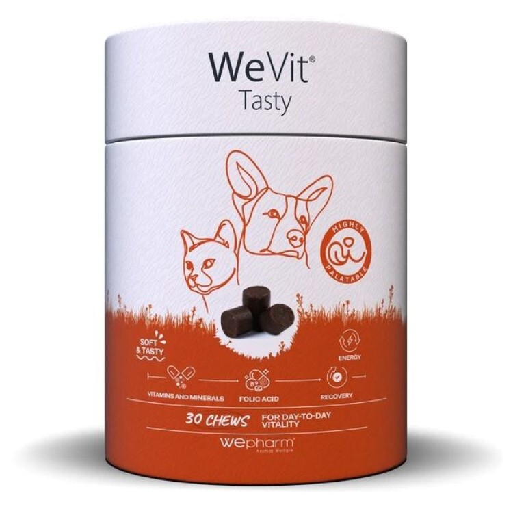 WEPHARM WEVIT TASTY ΣΥΜΠΛΗΡΩΜΑ ΔΙΑΤΡΟΦΗΣ ΓΙΑ ΤΟ ΑΝΟΣΟΠΟΙΗΤΙΚΟ ΓΙΑ ΣΚΥΛΟ ΚΑΙ ΓΑΤΑ 30 CHEWS