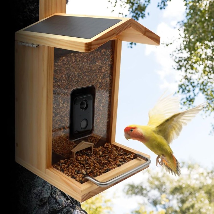 CROCI SMART BIRD FEEDER WI-FI ΕΞΥΠΝΗ ΤΑΪΣΤΡΑ ΠΤΗΝΩΝ ΜΕ ΗΛΙΚΟ ΠΑΝΕΛ ΚΑΙ ΚΑΜΕΡΑ