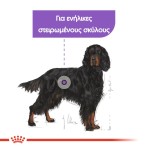 ROYAL CANIN STERILISED MAXI ADULT DOG 3kg