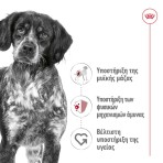 ROYAL CANIN HEALTH NUTRITION ADULT DOG MEDIUM  4kg