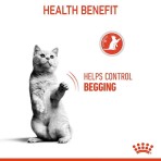 ROYAL CANIN APPETITE CONTROL CARE ADULT CAT 400gr ROYAL CANIN APPETITE CONTROL CARE ADULT CAT 400gr