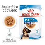 ROYAL CANIN PUPPY DOG MAXI CHUNKS IN GRAVY POUCH 10x140gr