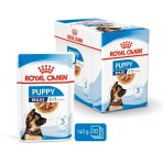 ROYAL CANIN PUPPY DOG MAXI CHUNKS IN GRAVY POUCH 10x140gr