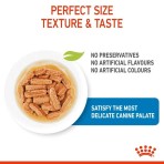 ROYAL CANIN PUPPY DOG MEDIUM CHUNKS IN GRAVY POUCH 10x140gr