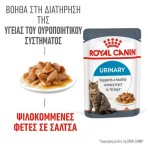 ROYAL CANIN ADULT CAT URINARY CARE THIN SLICES IN GRAVY 12x85gr ROYAL CANIN ADULT CAT URINARY CARE THIN SLICES IN GRAVY 12x85gr