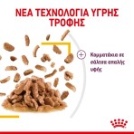 ROYAL CANIN SENSORY TASTE ADULT CAT CHUNKS IN GRAVY POUCH 12X85gr