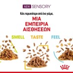 ROYAL CANIN SENSORY TASTE ADULT CAT CHUNKS IN GRAVY POUCH 12X85gr