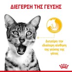 ROYAL CANIN SENSORY TASTE ADULT CAT CHUNKS IN GRAVY POUCH 12X85gr