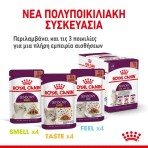 ROYAL CANIN SENSORY TASTE ADULT CAT CHUNKS IN GRAVY POUCH 12X85gr