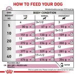 ROYAL CANIN VETERINARY DIET EARLY RENAL ADULT DOG THIN SLICES IN GRAVY POUCH 12x100gr