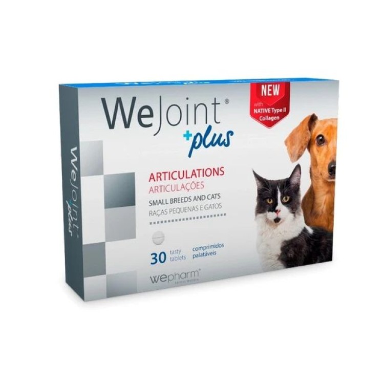 WEPHARM WEJOINT PLUS SMALL BREED ΣΥΜΠΛΗΡΩΜΑ ΔΙΑΤΡΟΦΗΣ ΧΟΝΔΡΟΠΡΟΣΤΑΤΕΥΤΙΚΟ ΓΙΑ ΣΚΥΛΟΥΣ ΚΑΙ ΓΑΤΕΣ 30 ΔΙΣΚΙΑ WEPHARM WEJOINT PLUS SMALL BREED ΣΥΜΠΛΗΡΩΜΑ ΔΙΑΤΡΟΦΗΣ ΧΟΝΔΡΟΠΡΟΣΤΑΤΕΥΤΙΚΟ ΓΙΑ ΣΚΥΛΟΥΣ ΚΑΙ ΓΑΤΕΣ 30 ΔΙΣΚΙΑ