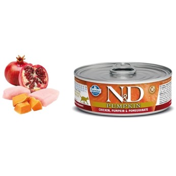 ND PUMPKIN ADULT CAT WET FOOD ΚΟΤΟΠΟΥΛΟ ΚΑΙ ΡΟΔΙ 70gr