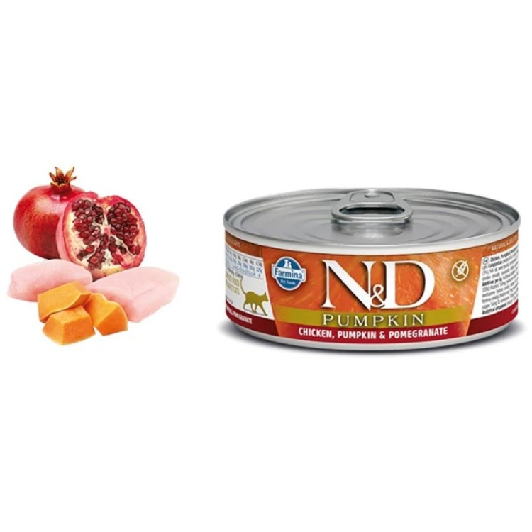 ND PUMPKIN ADULT CAT WET FOOD ΚΟΤΟΠΟΥΛΟ ΚΑΙ ΡΟΔΙ 70gr