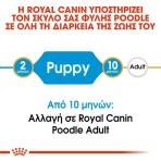 ROYAL CANIN POODLE PUPPY DOG 3KG ROYAL CANIN POODLE PUPPY DOG 3KG