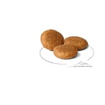 ROYAL CANIN HEALTH NUTRITION ADULT DOG MEDIUM 12kg ROYAL CANIN HEALTH NUTRITION ADULT DOG MEDIUM 12kg