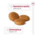 ROYAL CANIN HEALTH NUTRITION ADULT DOG MEDIUM 12kg ROYAL CANIN HEALTH NUTRITION ADULT DOG MEDIUM 12kg