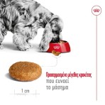 ROYAL CANIN HEALTH NUTRITION ADULT DOG MEDIUM 12kg ROYAL CANIN HEALTH NUTRITION ADULT DOG MEDIUM 12kg