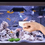NOBLEZA ΜΑΓΝΗΤΙΚΗ ΒΟΥΡΤΣΑ ΚΑΘΑΡΙΣΜΟΥ ΕΝΥΔΡΕΙΟΥ SMALL 10.5x3.8x6.8cm