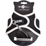BOBBY STRIPES ΣΕΤ ΣΑΜΑΡΑΚΙ ΚΑΙ ΟΔΗΓΟΣ ΓΑΤΑΣ XSMALL GREY AND PETROL BOBBY STRIPES ΣΕΤ ΣΑΜΑΡΑΚΙ ΚΑΙ ΟΔΗΓΟΣ ΓΑΤΑΣ XSMALL GREY AND PETROL