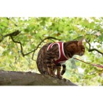 BOBBY STRIPES ΣΕΤ ΣΑΜΑΡΑΚΙ ΚΑΙ ΟΔΗΓΟΣ ΓΑΤΑΣ XSMALL RED AND WHITE