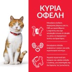HILLS SCIENCE PLAN STERILISED ADULT CAT FOOD CHICKEN 10kg