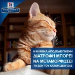 HILL'S PRESCRIPTION C/D URINARY STRESS CARE AND METABOLIC ADULT CAT CHICKEN 1.5gr HILL'S PRESCRIPTION C/D URINARY STRESS CARE AND METABOLIC ADULT CAT CHICKEN 1.5gr