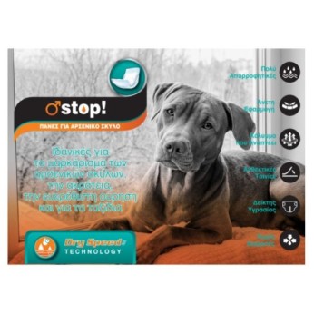 PET CAMELOT ΠΑΝΕΣ ΦΑΣΕΣ ΓΙΑ ΑΡΣΕΝΙΚΟΥΣ ΣΚΥΛΟΥΣ MEDIUM 12pcs