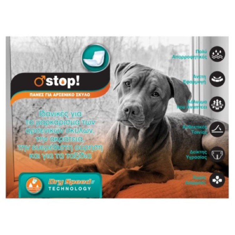 PET CAMELOT ΠΑΝΕΣ ΦΑΣΕΣ ΓΙΑ ΑΡΣΕΝΙΚΟΥΣ ΣΚΥΛΟΥΣ MEDIUM 12pcs