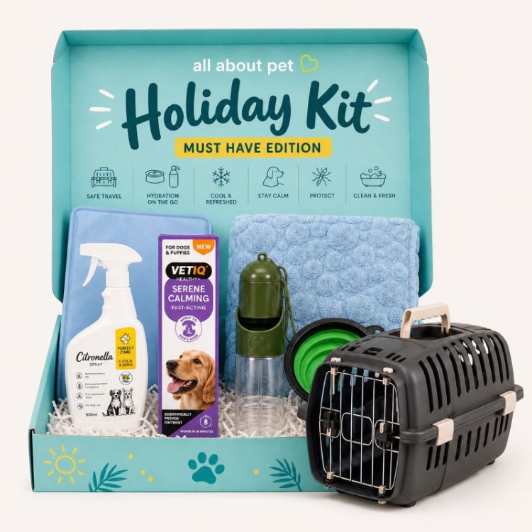 ALL ABOUT PET HOLIDAY KIT MUST HAVE EDITION