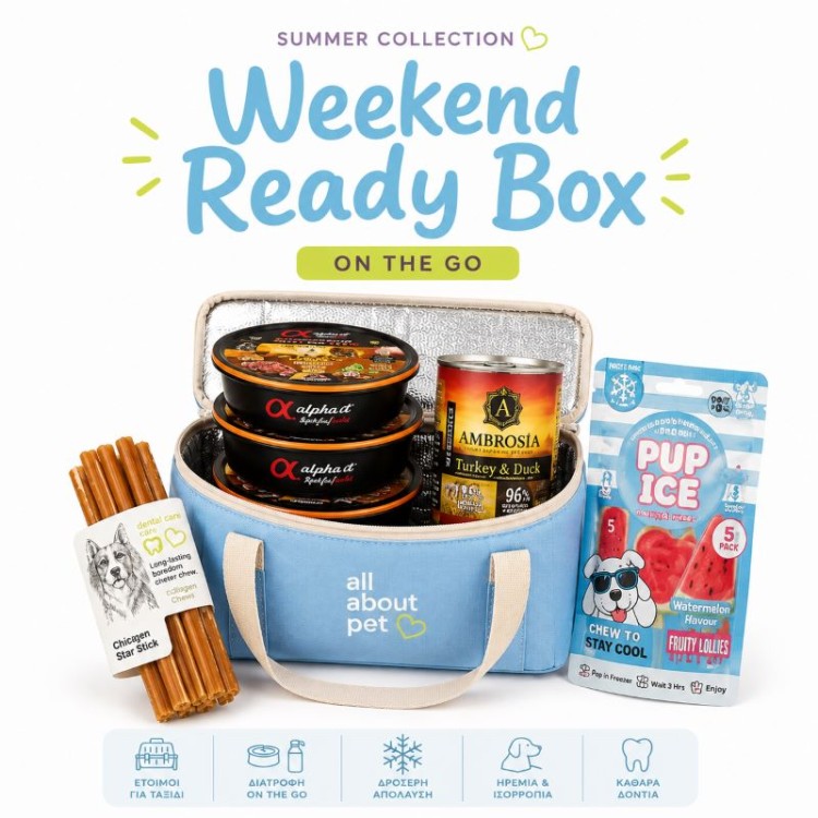 ALL ABOUT PET HOLIDAY KIT MUST HAVE EDITION