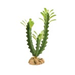ZOO MED NATURALISTIC DESERT FLORA EUPHORBIA ΤΕΧΝΗΤΟ ΦΥΤΟ ΕΡΗΜΟΥ 15.9x5.1x36.2cm ZOO MED NATURALISTIC DESERT FLORA EUPHORBIA ΤΕΧΝΗΤΟ ΦΥΤΟ ΕΡΗΜΟΥ 15.9x5.1x36.2cm