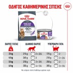 ROYAL CANIN LIGHT APPETITE CONTROL CARE ADULT CAT AIRLIFT MOUSSE CAN 85gr