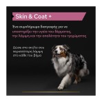 PURINA PRO PLAN SKIN AND COAT CARE ΣΥΜΠΛΗΡΩΜΑ ΔΙΑΤΡΟΦΗΣ ΣΚΥΛΟΥ ΣΕ ΕΛΑΙΟ 250ml PURINA PRO PLAN SKIN AND COAT CARE ΣΥΜΠΛΗΡΩΜΑ ΔΙΑΤΡΟΦΗΣ ΣΚΥΛΟΥ ΣΕ ΕΛΑΙΟ 250ml