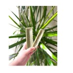 HIMALAYAN CHEESE DENTAL BONE WITH SPIRULINA FOR DOGS SMALL 35-60gr