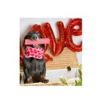HIMALAYAN CHEESE DENTAL BONE WITH STRAWBERRY FOR DOGS SMALL 35-60gr