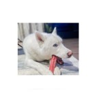 HIMALAYAN CHEESE DENTAL BONE WITH STRAWBERRY FOR DOGS SMALL 35-60gr