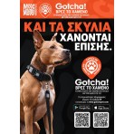 MAX & MOLLY MATRIX 2.0 SMART ID COLLAR ΠΕΡΙΛΑΙΜΙΟ ΣΚΥΛΟΥ JADE XSMALL