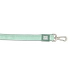 MAX & MOLLY MATRIX 2.0 SHORT LEASH ΟΔΗΓΟΣ ΠΕΡΙΠΑΤΟΥ ΣΚΥΛΟΥ JADE LARGE