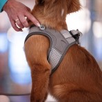 MAX & MOLLY MATRIX 2.0 AIR VEST SMART ID ΣΑΜΑΡΑΚΙ ΣΚΥΛΟΥ SAND XLARGE 52-58cm