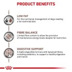 ROYAL CANIN VETERINARY DIET GASTROINTESTINAL LOW FAT SMALL DOGS 1.5kg ROYAL CANIN VETERINARY DIET GASTROINTESTINAL LOW FAT SMALL DOGS 1.5kg