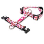 MAX & MOLLY STRAWBERRY DREAM H-HARNESS ΣΑΜΑΡΑΚΙ ΣΚΥΛΟΥ SMALL MAX & MOLLY STRAWBERRY DREAM H-HARNESS ΣΑΜΑΡΑΚΙ ΣΚΥΛΟΥ SMALL