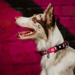 MAX & MOLLY LEOPARD PINK II SMART ID COLLAR ΠΕΡΙΛΑΙΜΙΟ ΣΚΥΛΟΥ MEDIUM