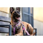 MAX & MOLLY LEOPARD PINK II SMART ID H-HARNESS ΣΑΜΑΡΑΚΙ ΣΚΥΛΟΥ LARGE
