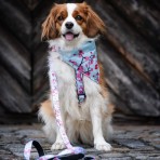 MAX & MOLLY CHERRY BLOOM H-HARNESS ΣΑΜΑΡΑΚΙ ΣΚΥΛΟΥ SMALL